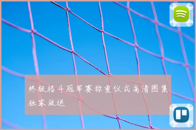 终极格斗冠军赛称重仪式高清图集独家放送