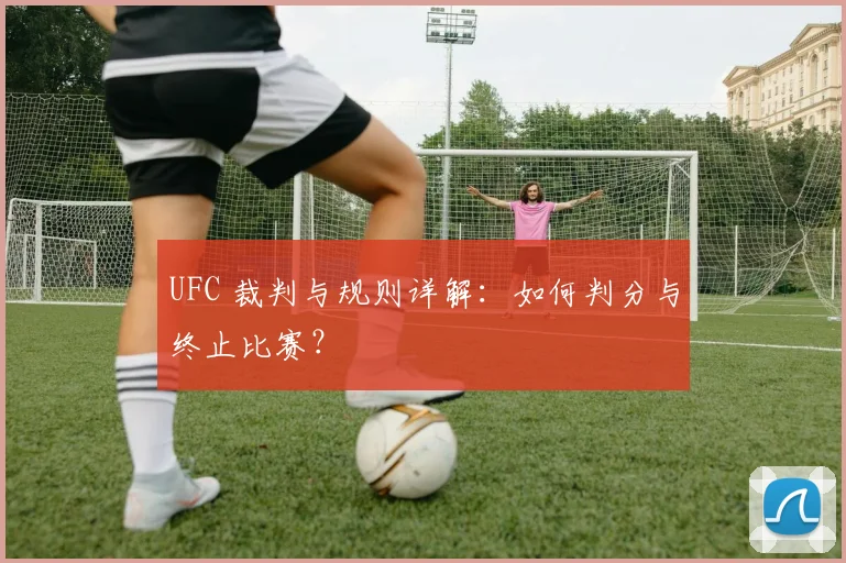 UFC 裁判与规则详解：如何判分与终止比赛？