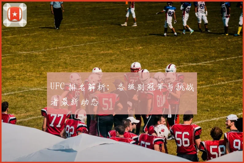 UFC 排名解析:各级别冠军与挑战者最新动态