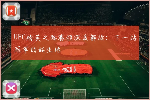 UFC精英之路赛程深度解读：下一站冠军的诞生地