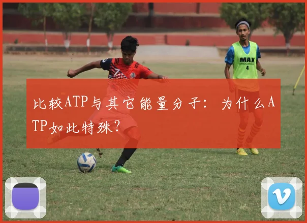 比较ATP与其它能量分子：为什么ATP如此特殊？
