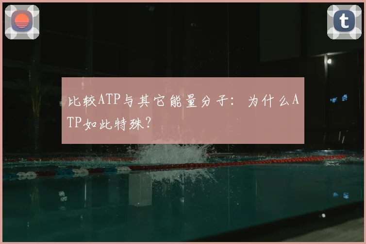比较ATP与其它能量分子：为什么ATP如此特殊？