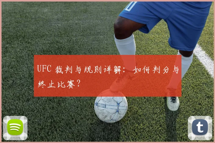 UFC 裁判与规则详解：如何判分与终止比赛？