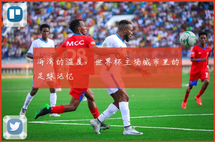 海湾的温度，世界杯主场城市里的足球记忆