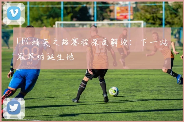 UFC精英之路赛程深度解读：下一站冠军的诞生地