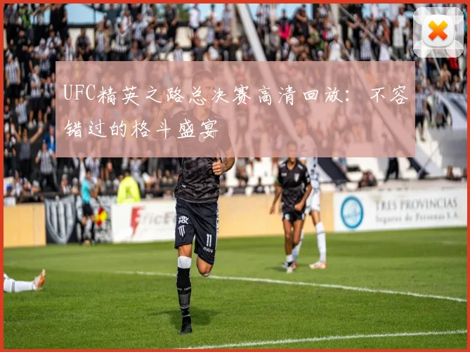 UFC精英之路总决赛高清回放：不容错过的格斗盛宴