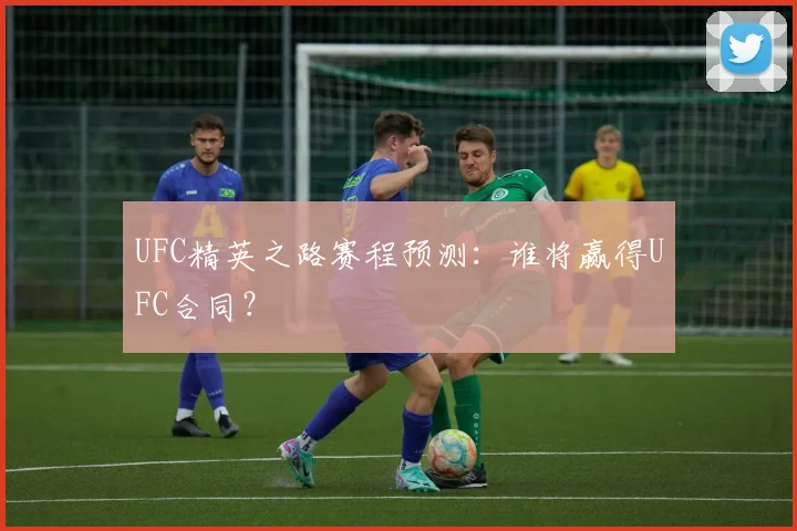 UFC精英之路赛程预测：谁将赢得UFC合同？